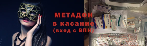 прущие грибы Алзамай