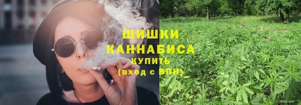 прущие грибы Алзамай