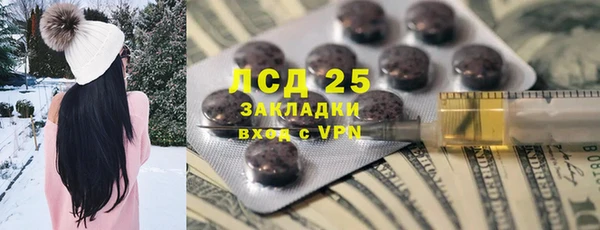 прущие грибы Алзамай